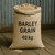 Barley Grain